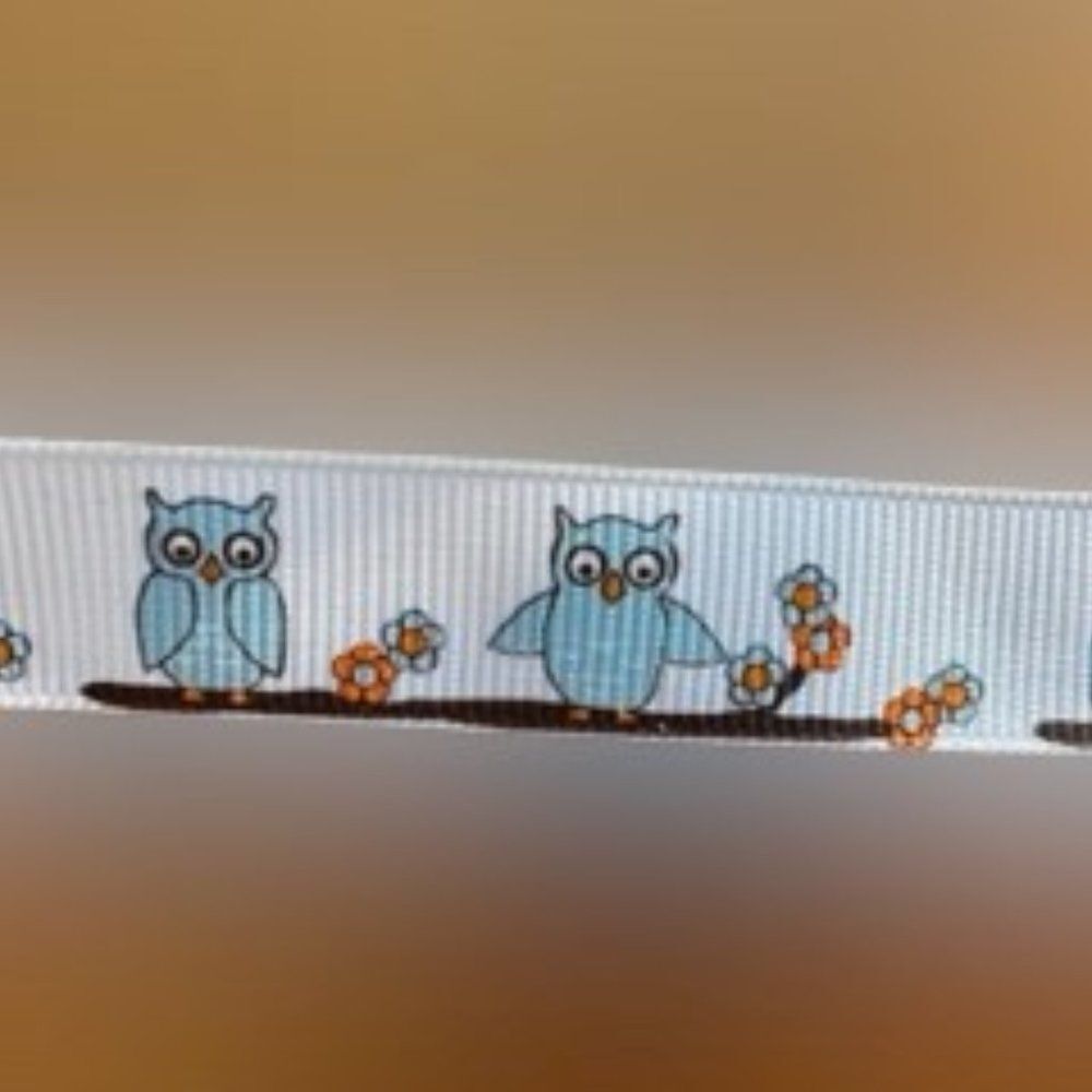 White Grosgrain Ribbon with Blue Owl with Flowers  ****ALL RIBBONS BUY 2 GET 1 F